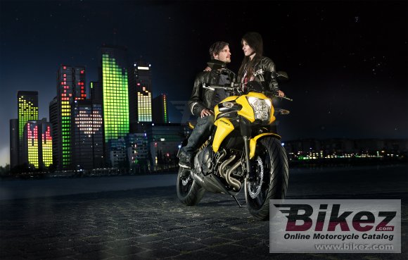 2012 Kawasaki ER-6n photo
